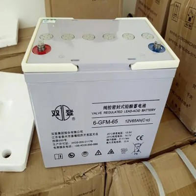 雙登蓄電池6-GFM-24鉛酸免維護電池12V24AH