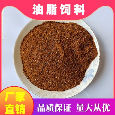 蛋雞油脂料 油脂飼料 大豆磷脂粉 蛋雞油粉 量大從優