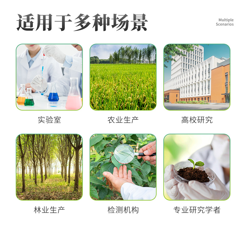 植物根系詳情_03