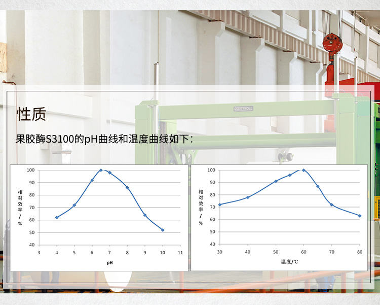 造紙?jiān)斍開04