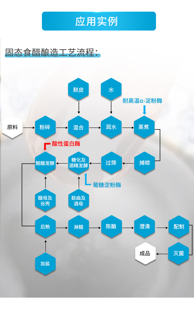 酸性蛋白酶（固態食醋加工專用）_05