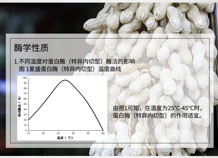 蛋白酶-（植物蛋白加工專用特異內切型）詳情_05