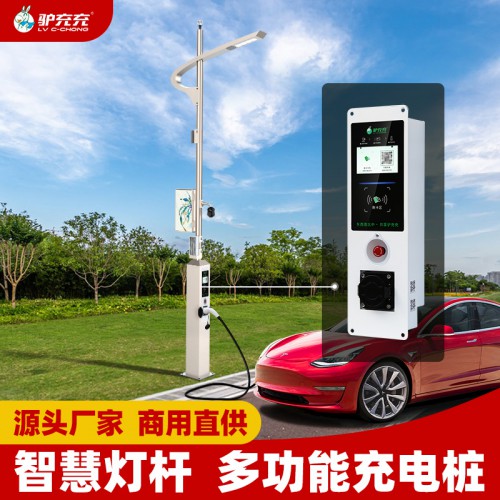 新能源電動(dòng)汽車(chē) 智慧燈桿充電樁 7kw 單槍