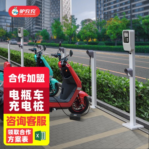 10路電瓶車(chē)充電樁