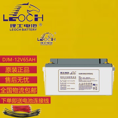 理士12V65AH蓄電池  理士電池