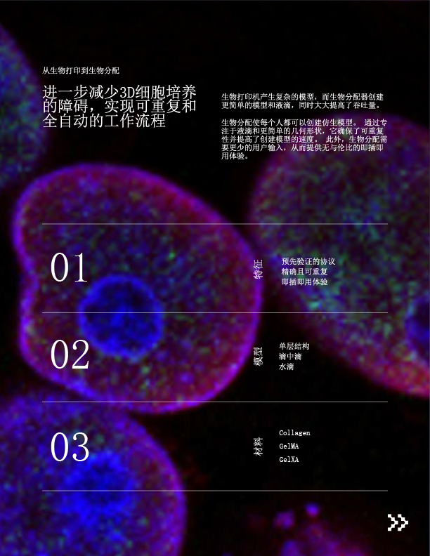 未標題-4-05