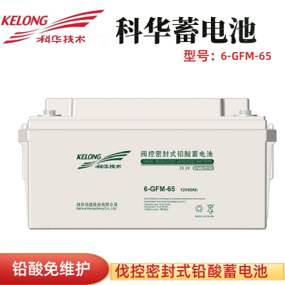 廈門科華鉛酸蓄電池 12V65AH價格