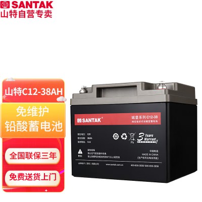 山特12V38AH蓄電池 深圳山特原裝正品