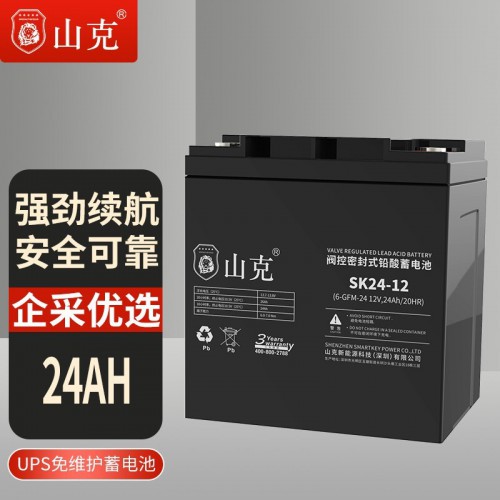 山克12V24AH鉛酸蓄電池 深圳山克蓄電池