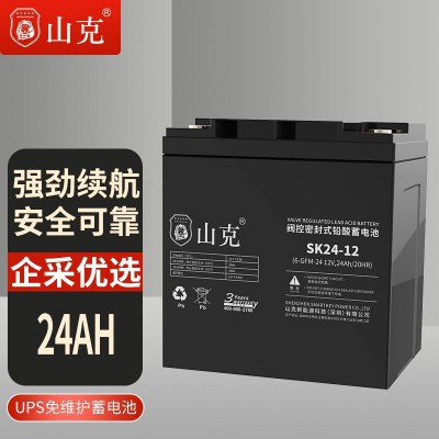 山克12V24AH鉛酸蓄電池 深圳山克蓄電池