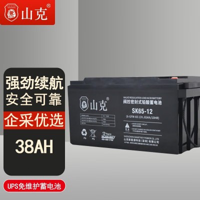 深圳山克鉛酸蓄電池  山克12V65AH蓄電池價(jià)格