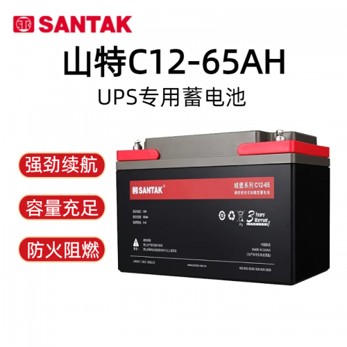 山·特城堡蓄電池12V65AH 免維護 機房UPS電源備用