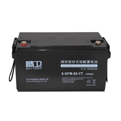 科華UPS電源鉛酸免維護蓄電池6-GFM-65-YT精衛(wèi)