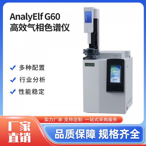 AnalyElfG60高效氣相色譜儀 氣相色譜分析儀