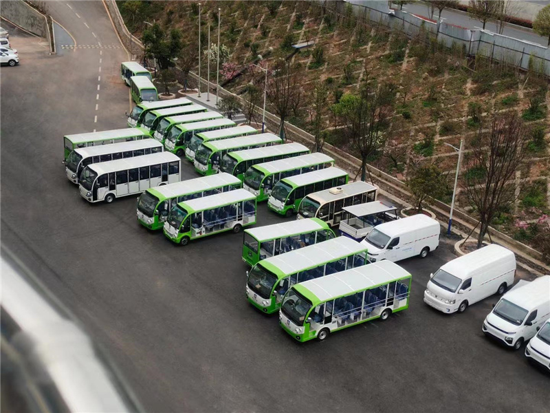 6景區(qū)代步車